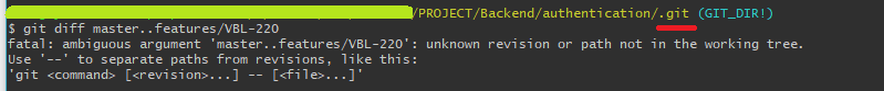 Git diff 命令無法進行兩點比較。錯誤:“致命:模棱兩可的論點”