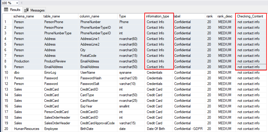 T-SQL :: information_type 未在 SQL Server 2019 中決議