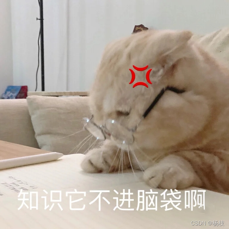 知識不進腦子呀