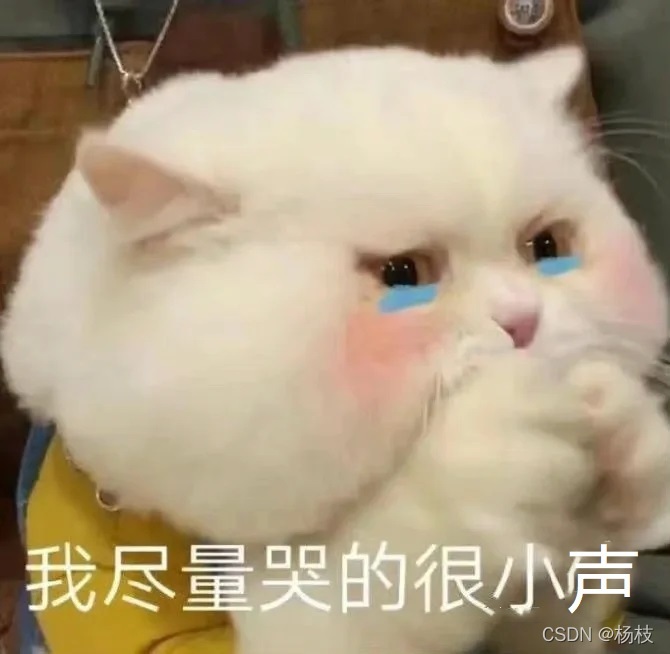 我盡量哭得很小聲