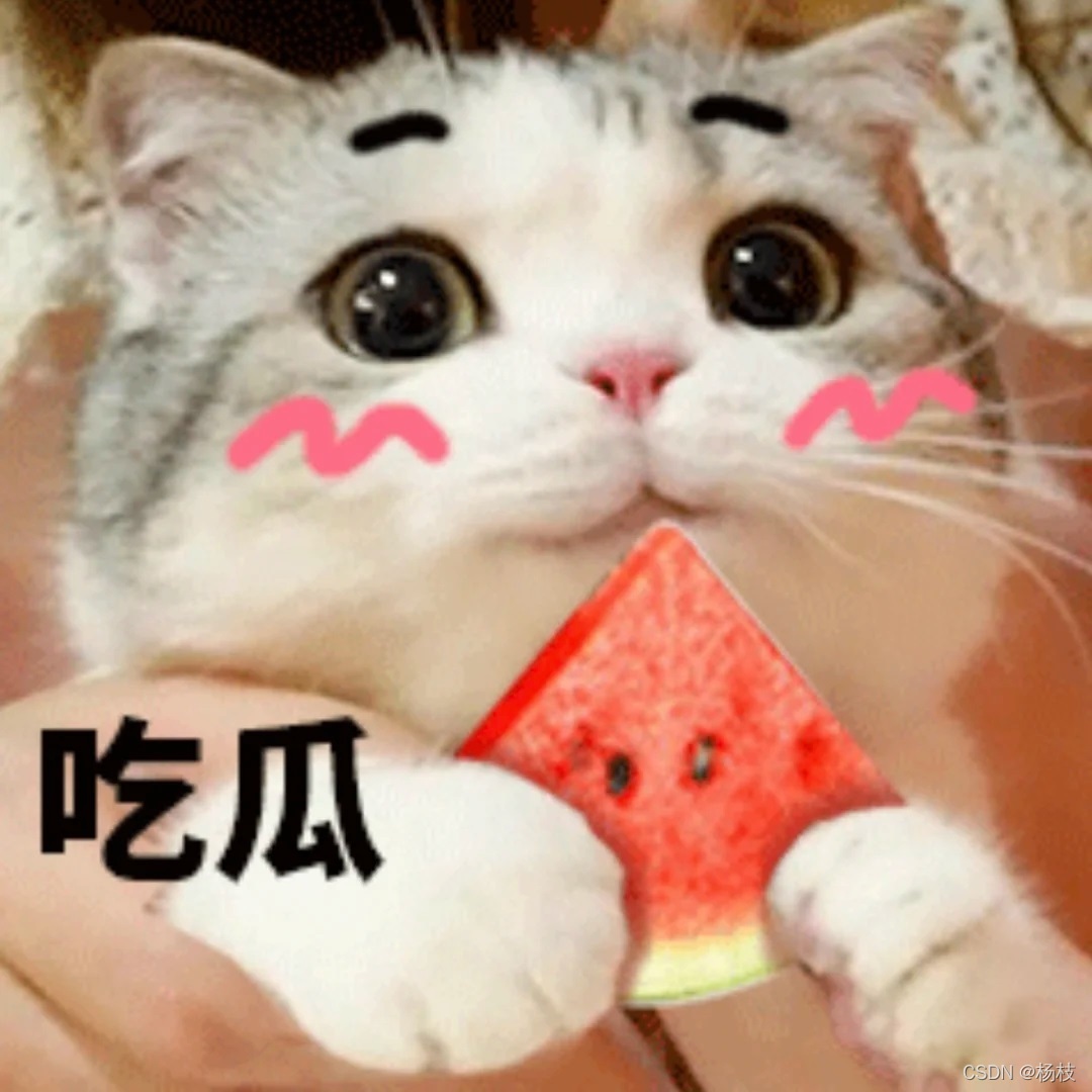 泡芙吃瓜