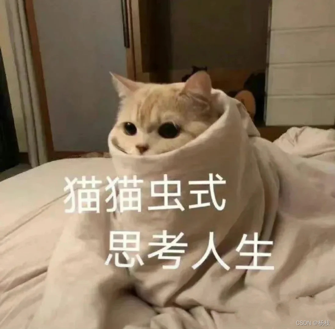 毛毛蟲