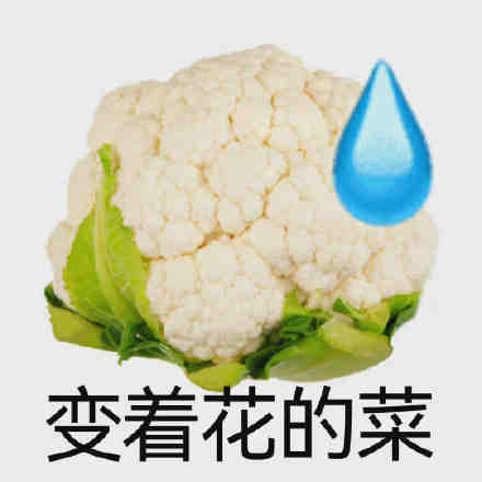 9376fb3828a45d088985e37cf31a0b0e.png