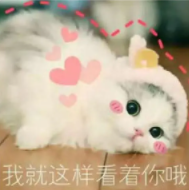 在這里插入圖片描述