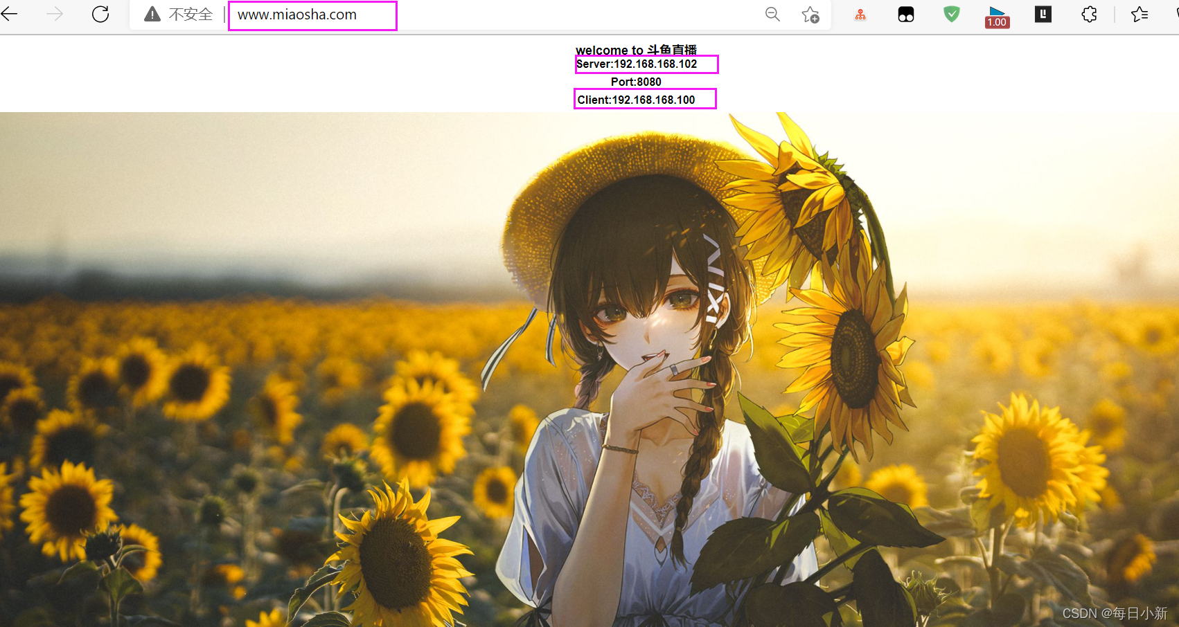 在這里插入圖片描述