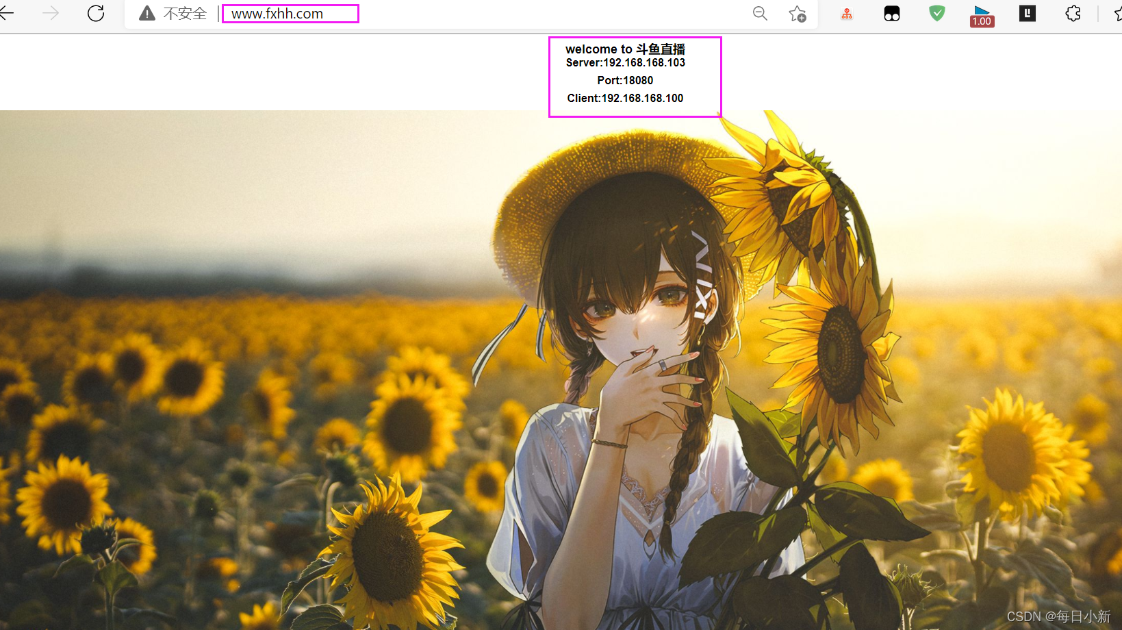 在這里插入圖片描述