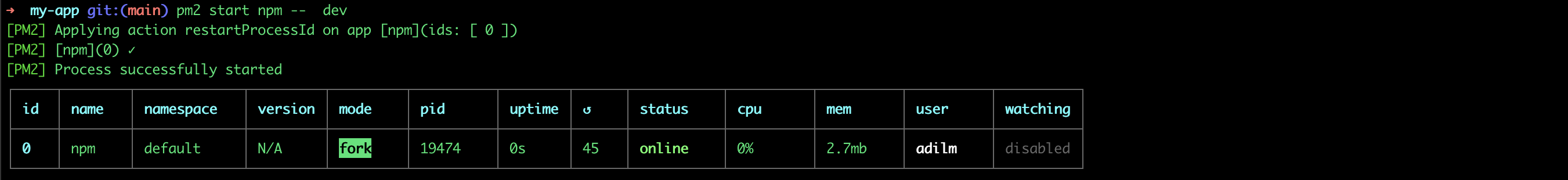 我可以使用 pm2 來保持 Next.js 應用程式運行嗎