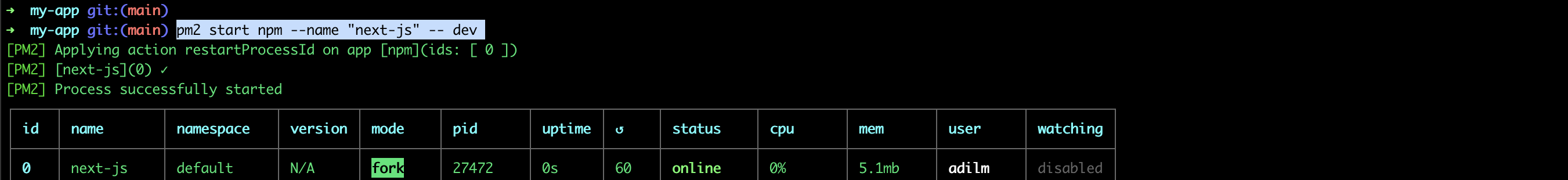 我可以使用 pm2 來保持 Next.js 應用程式運行嗎