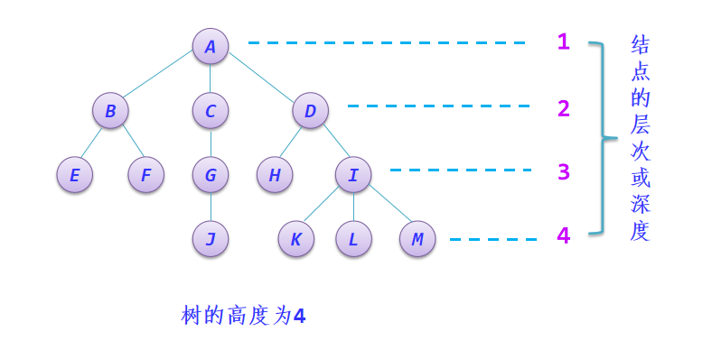 樹的高度