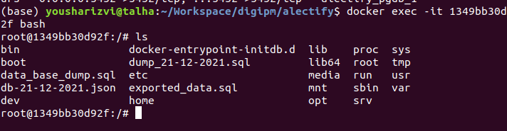 在 docker 容器 django postgres 中訪問 sql 轉儲