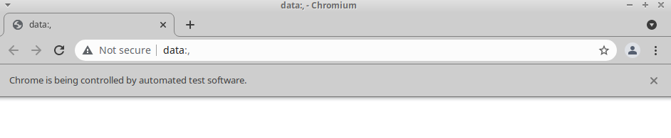 在 Python 中使用 chromedriver_autoinstaller 運行 selenium 時出現問題