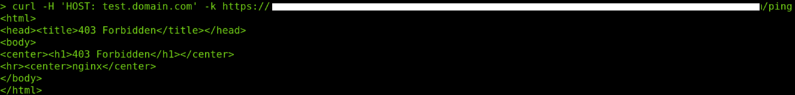 nginx.ingress.kubernetes.io/server-snippet 注釋包含無效的詞位置