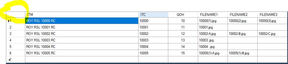 如何在VB.NET中設定DataGridView第一列（RowHeaders列）的標題