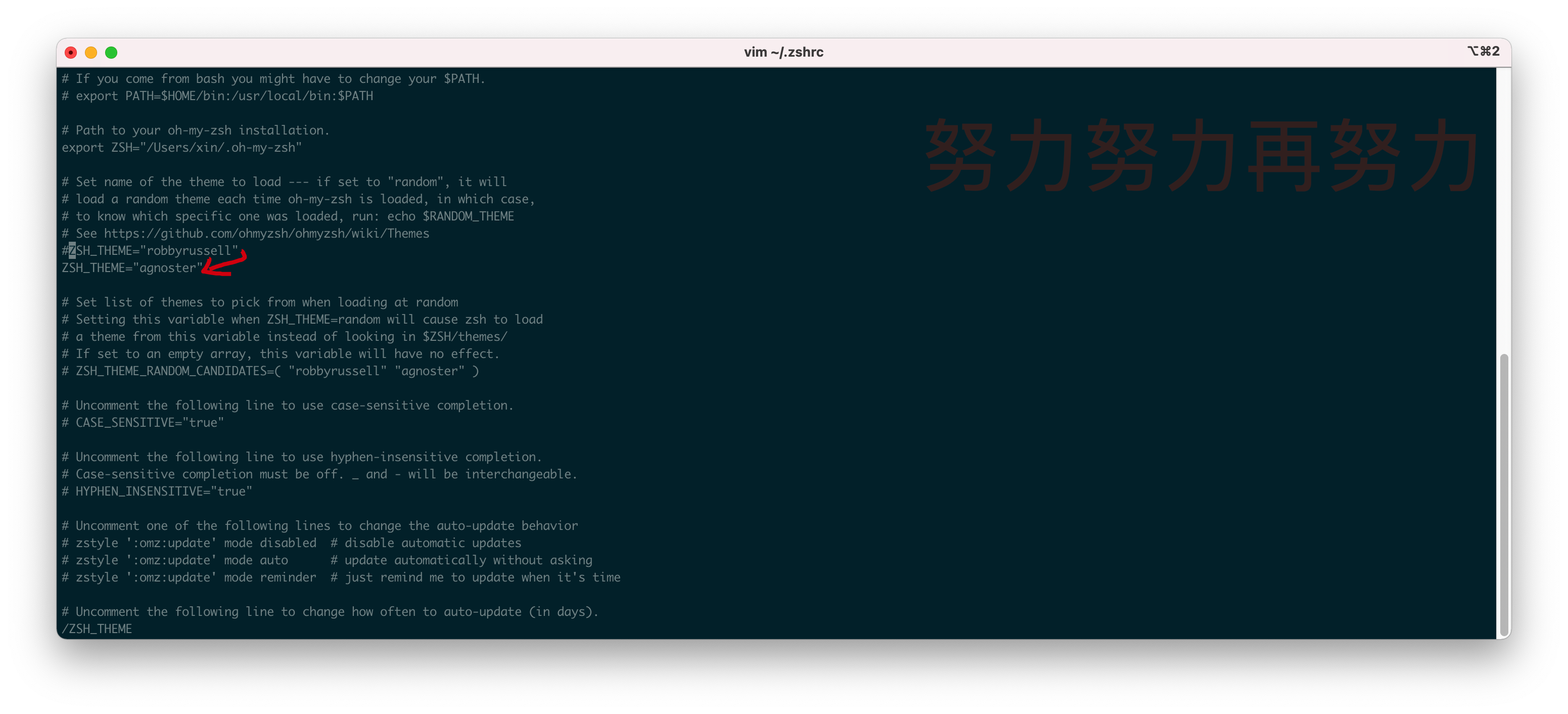 更換專題agnoster