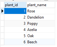 如何在 Room Database 上創建同一物體的多個表?