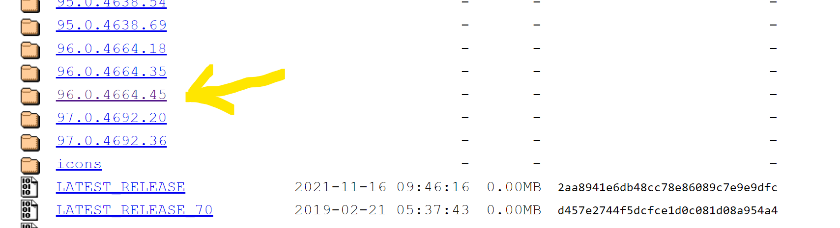 入門時通過 webdriver-manager 安裝的 webdriver 版本的 Selenium 問題
