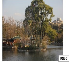 正常顯示圖片