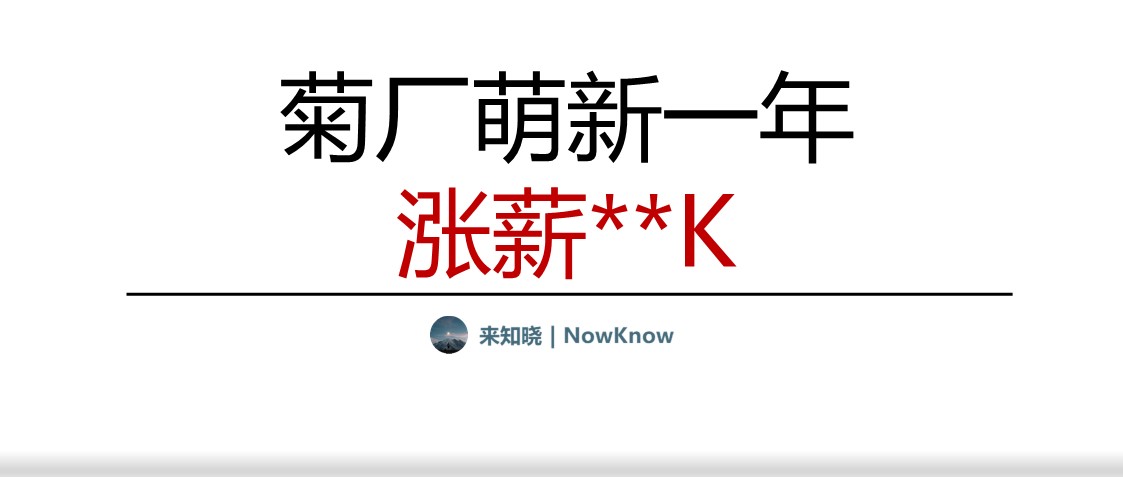 菊廠萌新搬磚一年漲薪xxk,我做對了什么?