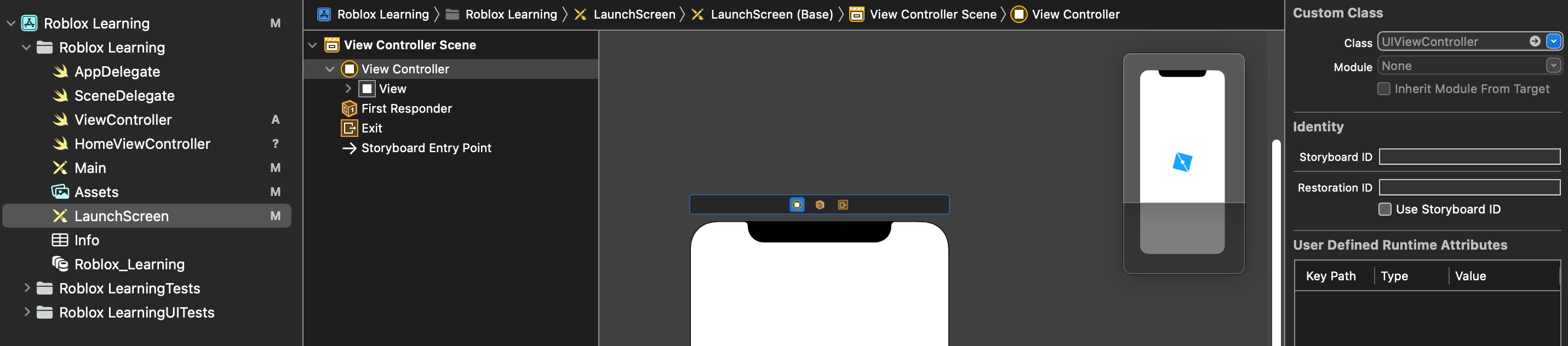 Xcode 啟動影片故事板問題