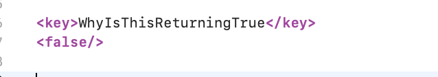 plist 中設定為 false 的布林值顯示為 true