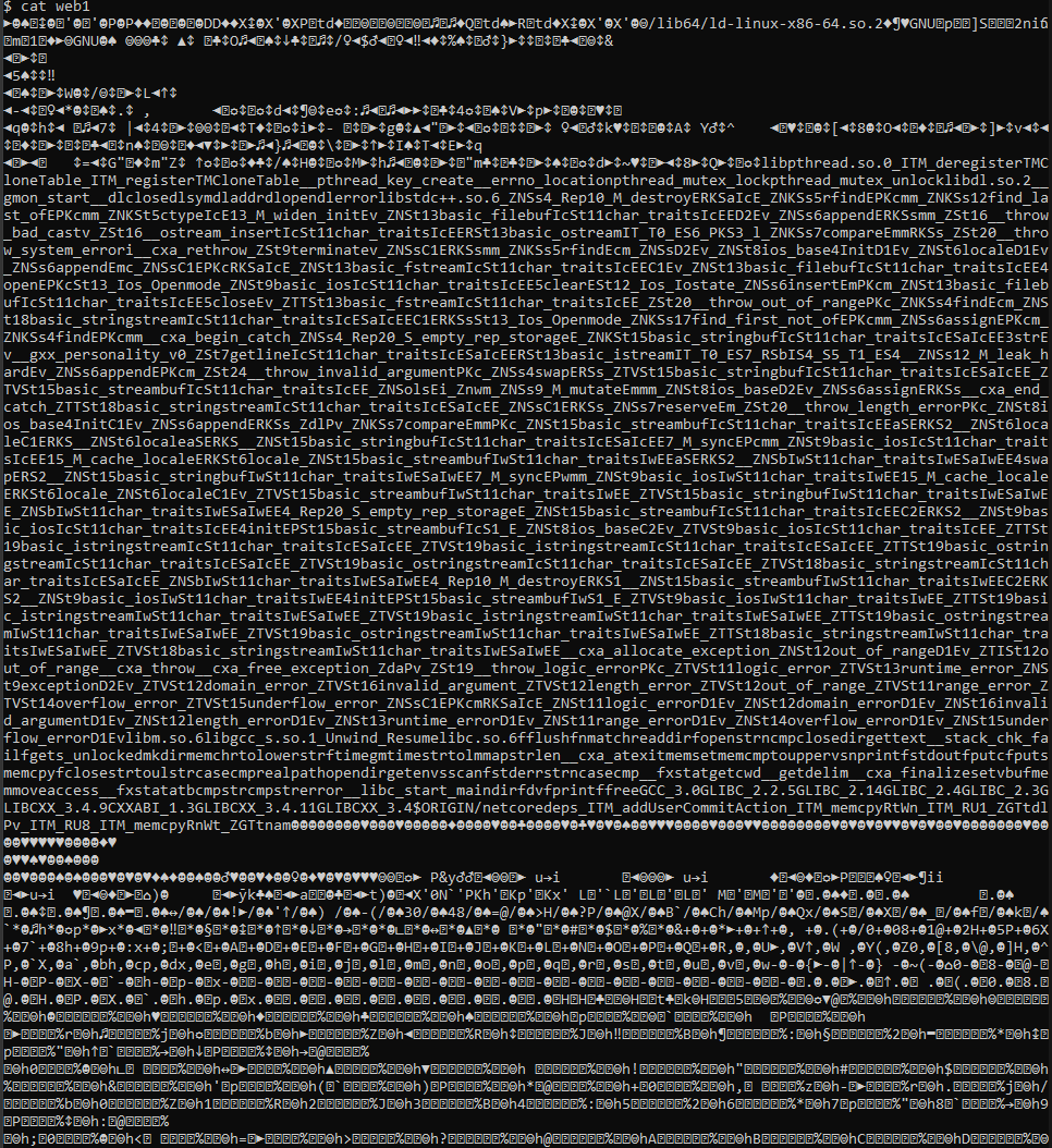 docker .net 6 鏡像魔法檔案