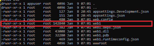 docker .net 6 鏡像魔法檔案