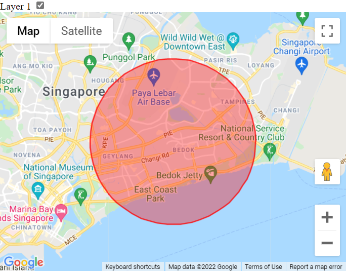 Google Maps Javascript API - 加載時隱藏圓圈并縮小并在點擊時顯示