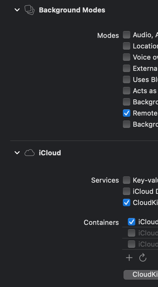 SwiftUI,CloudKit - 無法加載核心資料 NSPersistentCloudKitContainer