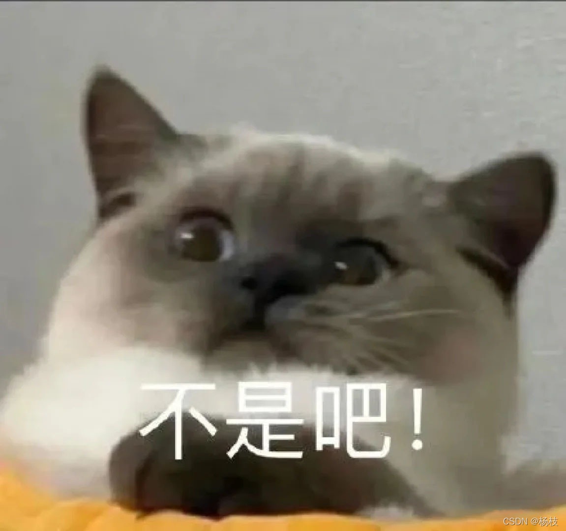 不是吧