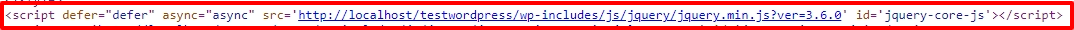 function.php 中的 wordpress script_loader_tag