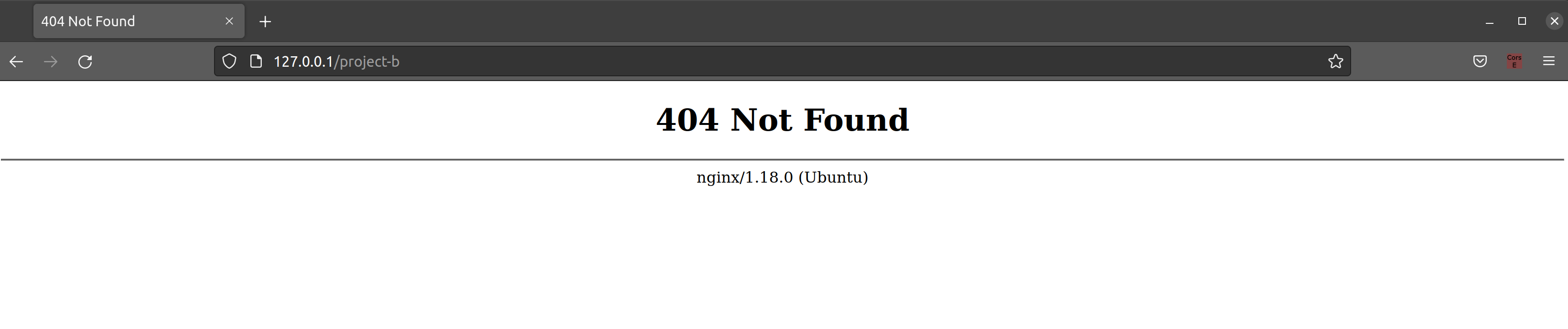 NGINX 與 Docker 提供的兩個 Node 專案未發現錯誤