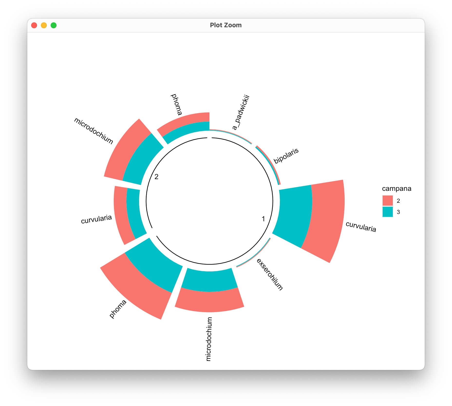 如何使用 ggplot 創建圓形條形圖