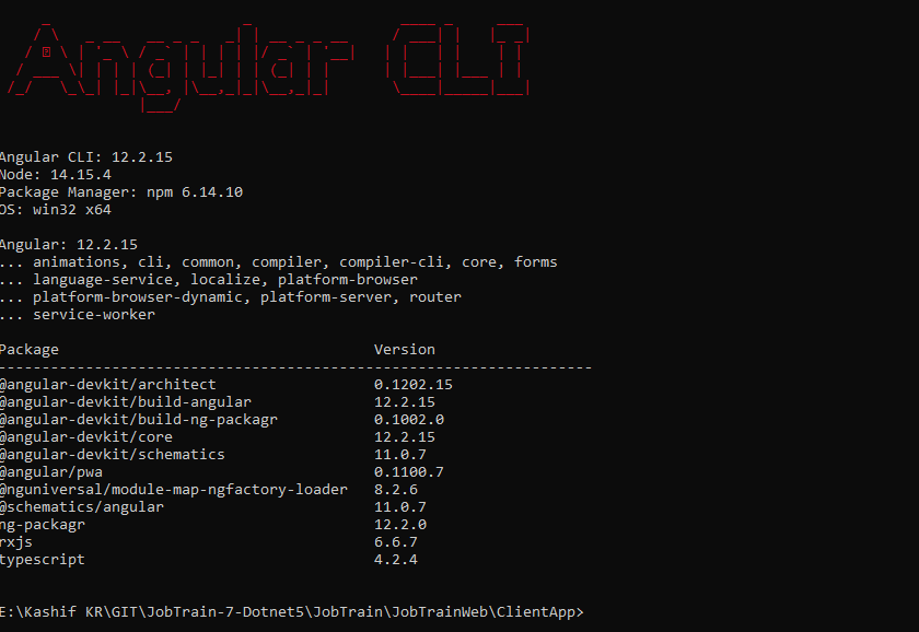 NG_PERSISTENT_BUILD_CACHE=1 ng 服務不作業