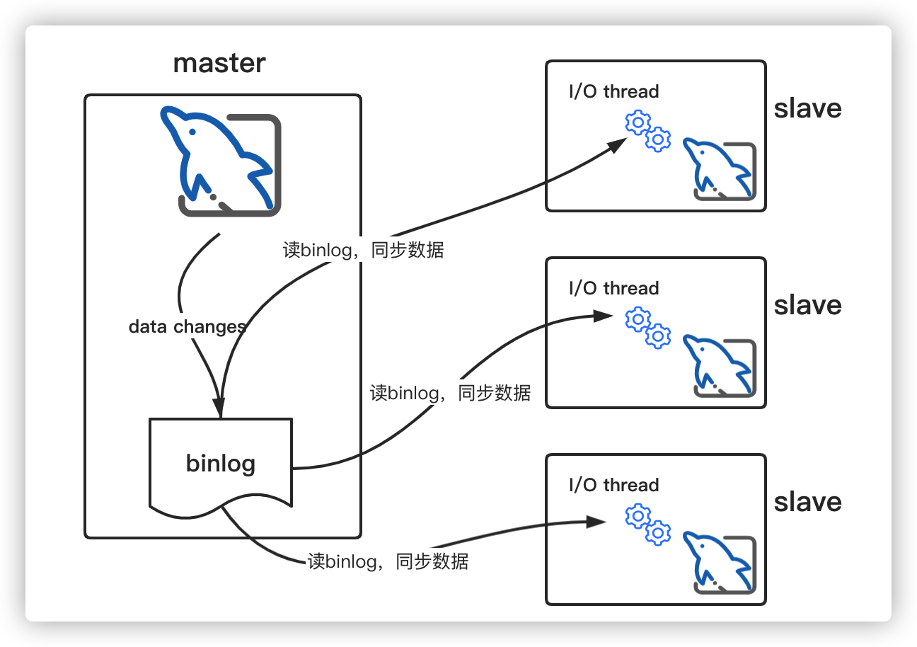 image-20220205111635571
