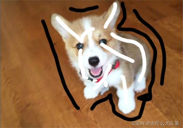在這里插入圖片描述