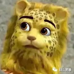 發財豹