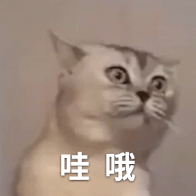 請添加圖片描述