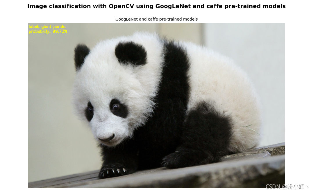 用于影像分類的 GoogLeNet