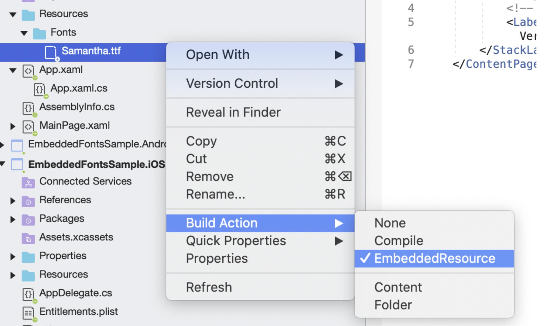 Fontawsome PRO 6 Xamarin 形式
