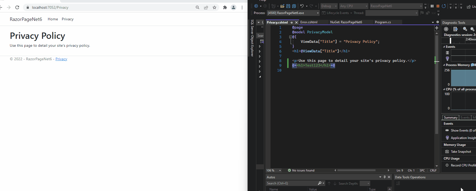 在 VS 19 中防止在 ASP.NET Core 中快取視圖