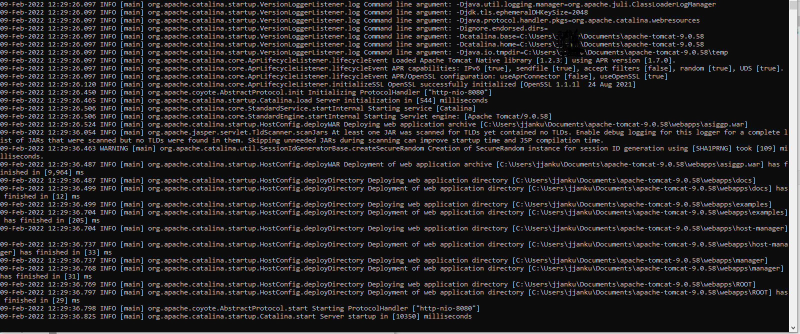 Spring Boot Application 卡在 INFO [main] org.apache.catalina.startup.Catalina.start 服務器在 [] 毫秒內啟動