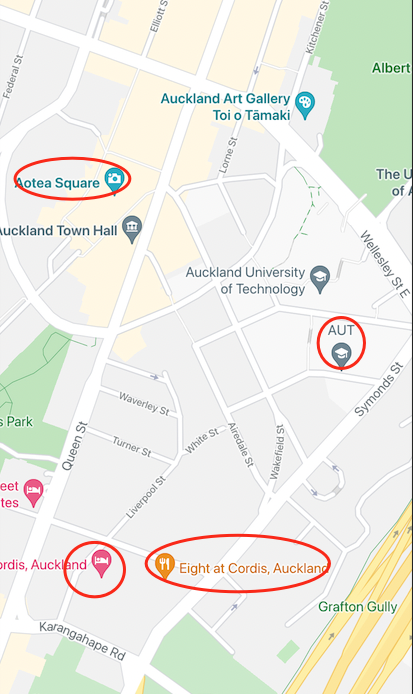 Flutter Google Maps:如何洗掉系統標記?