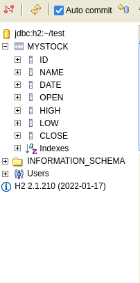 將 Java 中的 BigDecimal 插入 h2 資料庫中的 Decimal