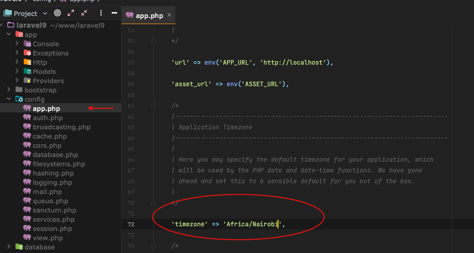 如何避免 Laravel PHP 在帶時區的日期中添加前綴