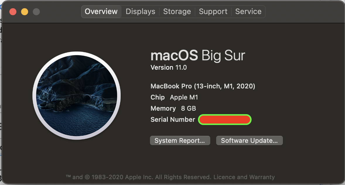 '預期在:/usr/lib/libc .1.dylib':在 M1 MacBook Pro 上安裝 Tensorflow