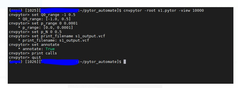 如何在 Perl 的另一個 bash 提示符下執行命令？