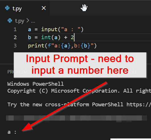 為什么VScode python終端和互動視窗之間的輸出不同?