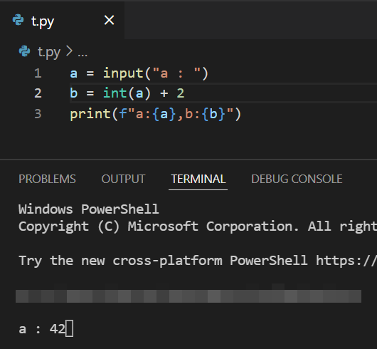 為什么VScode python終端和互動視窗之間的輸出不同?
