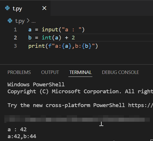 為什么VScode python終端和互動視窗之間的輸出不同?
