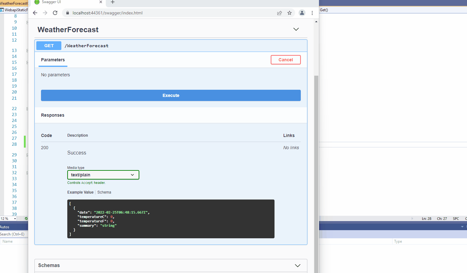 APS.NET CORE 5 Web Api - 靜態檔案、授權和身份驗證